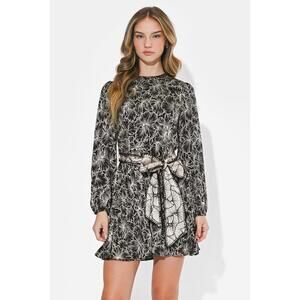 Sasha Pleated Long Sleeve Mini Dress